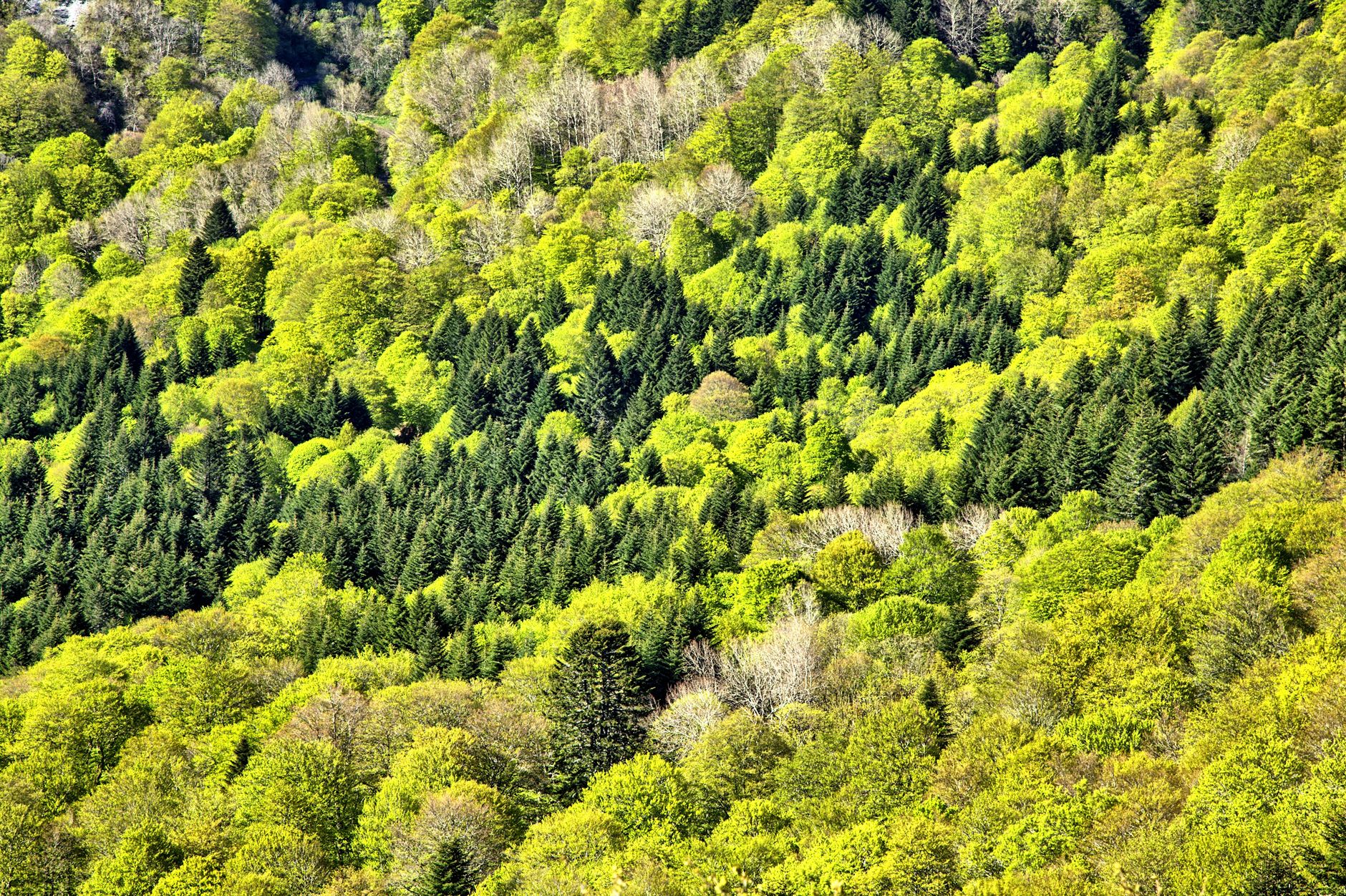 Préparer les constructions à Maurice face au changement climatique